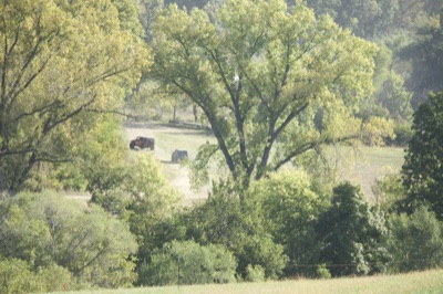 Iowa Jeep Show 2025 - Photo 1102