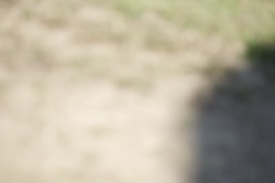 Iowa Jeep Show 2025 - Photo 565